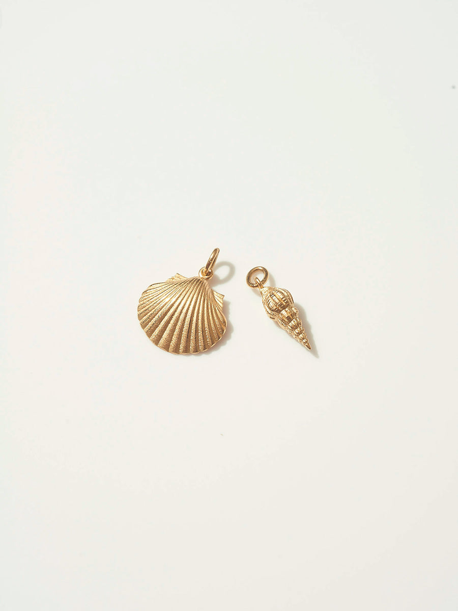 Shell Charms